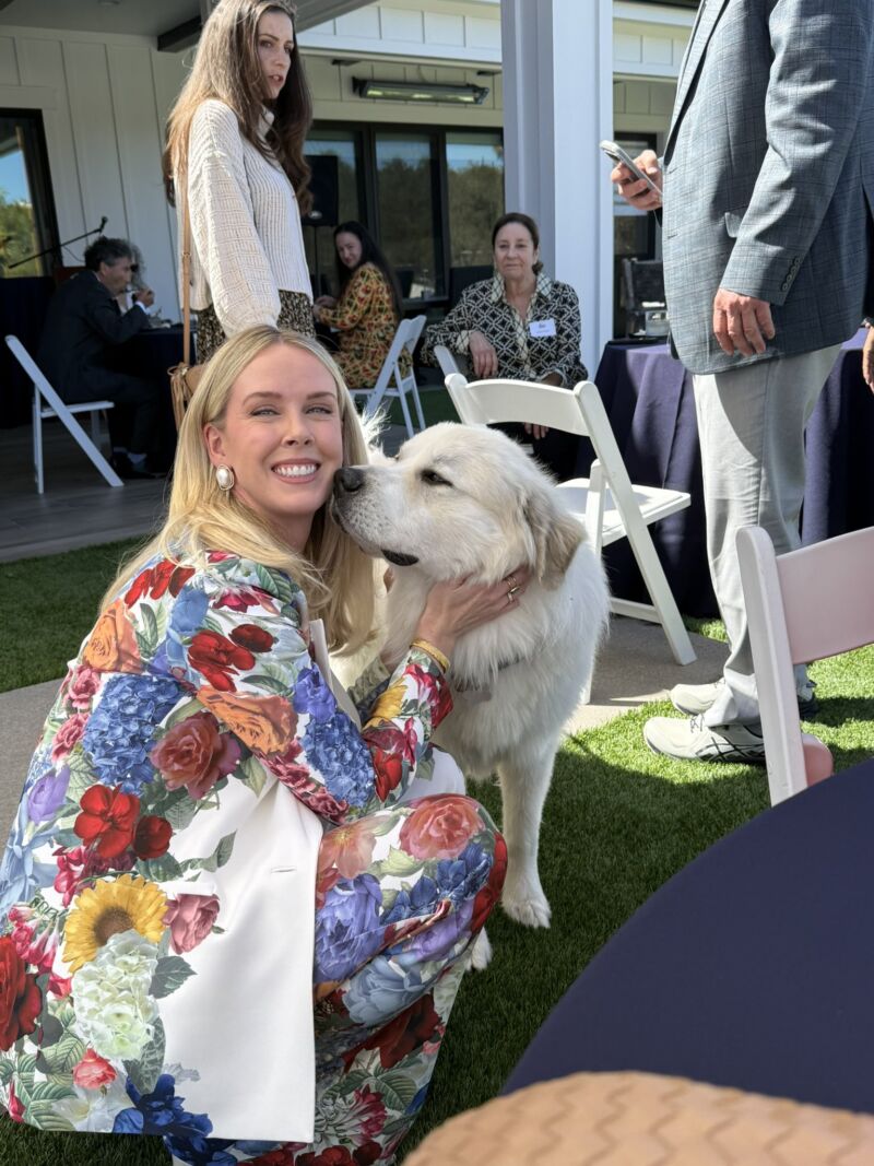 Image for the Tweet beginning: The 2025 Humane Awards with