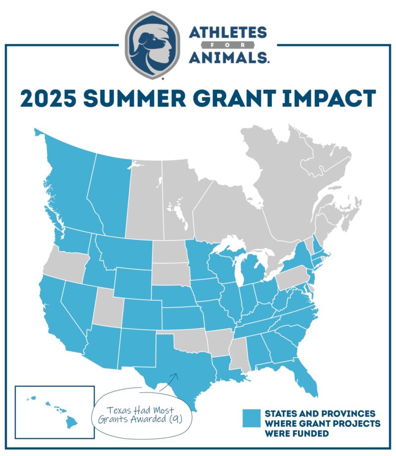 Image for the Tweet beginning: Curious what goes on behind