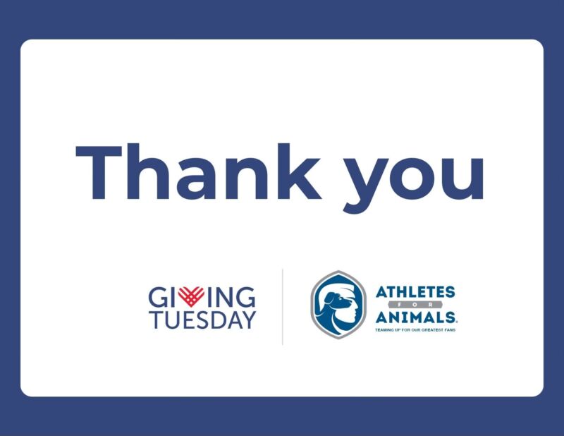 Image for the Tweet beginning: Thank you for a Record-Breaking