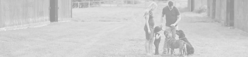 Image for twitter card